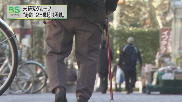 引用画像