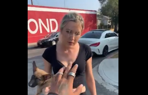 50fdb5a457a1121ed95bc831f6dcd219