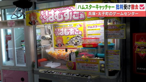 引用画像