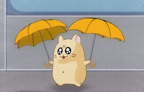 w615h500wex615hex500