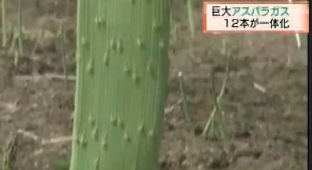 2016y05m28d_114125291