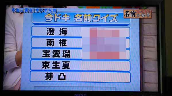 テレビで紹介されたキラキラネームがヤバすぎィ！「芽凸」「宝愛瑠」「束生夏」 : はちま起稿