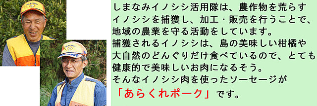 inoshishi_dtl.jpg