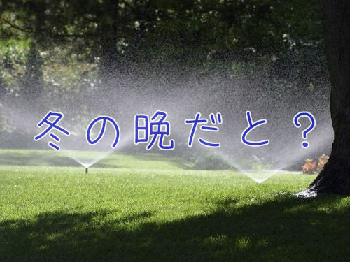 引用画像