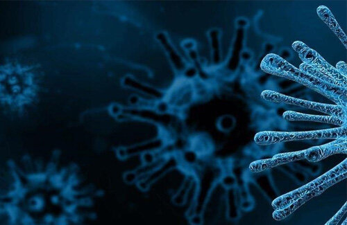 498te4w98a498e9ta48w