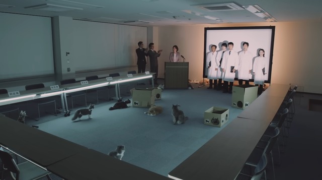 2022y12m02d_181055076