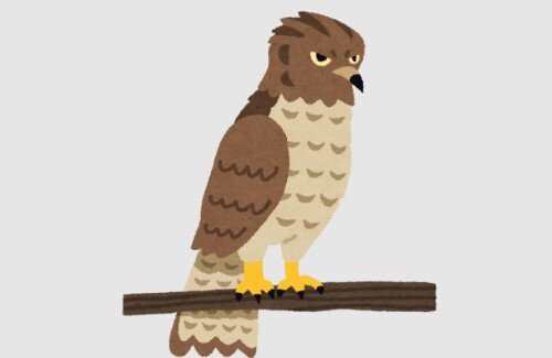 2022y10m27d_164136696