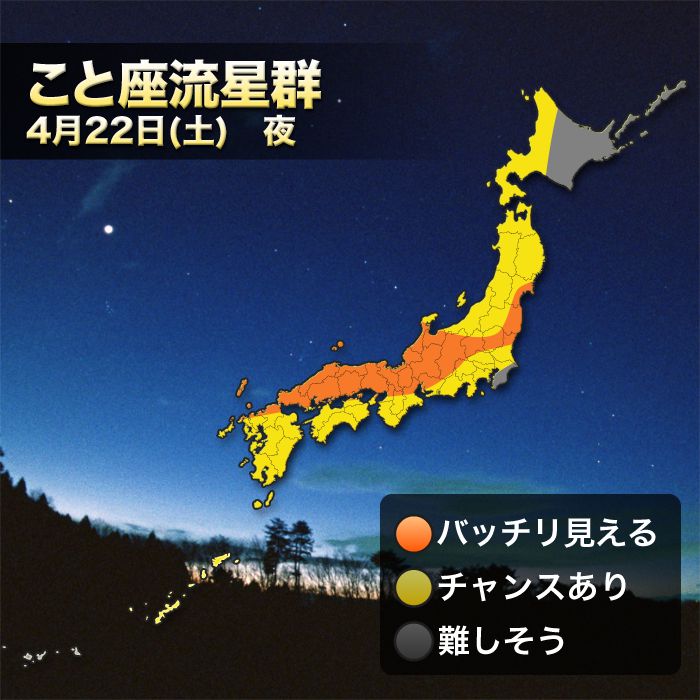 引用画像