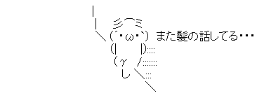 AAの画像化.png