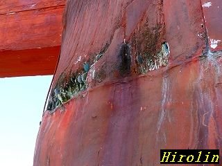 img_1475175_61351125_13