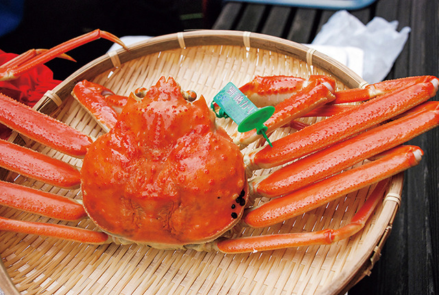 1911_kansai_betsu2_005