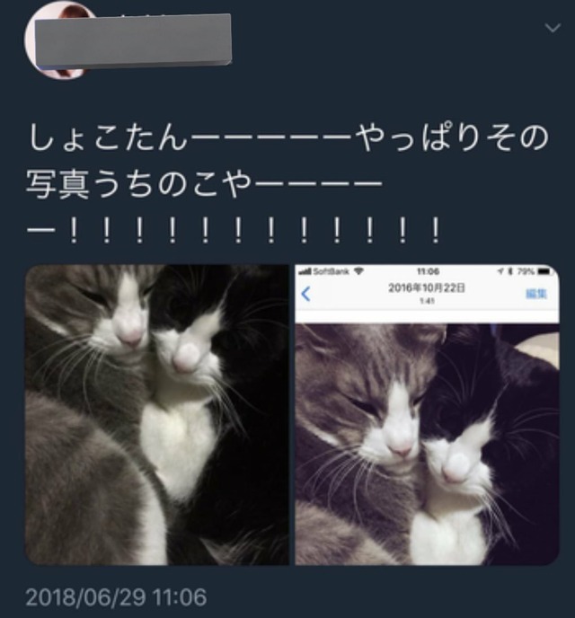 z3