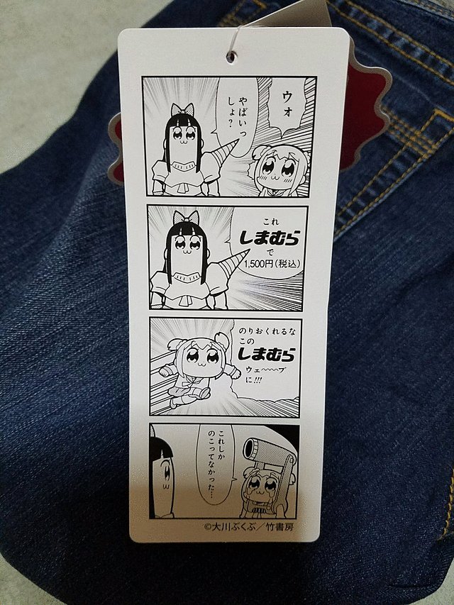 引用画像