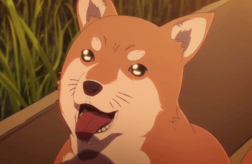 t984ewa98te498w4e98wa