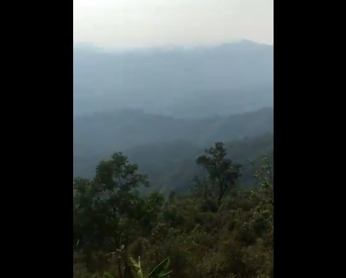 2019y05m05d_070007499