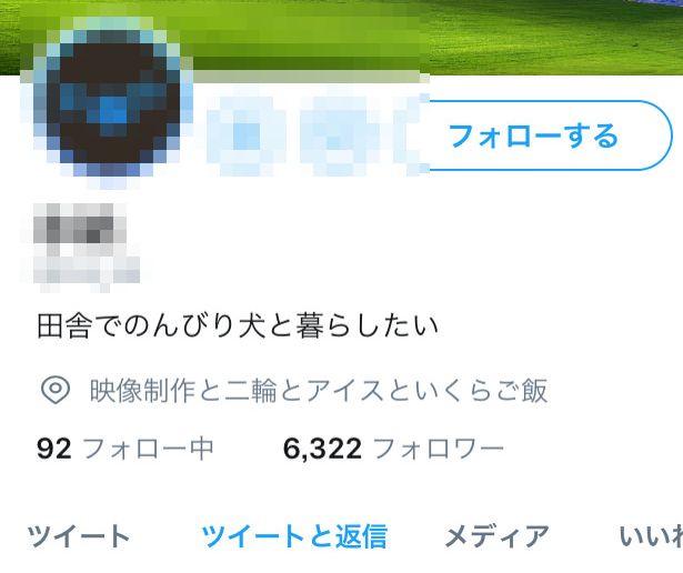 oL1o3pB