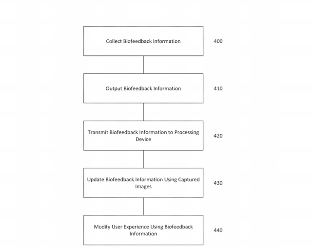 DS5-patent