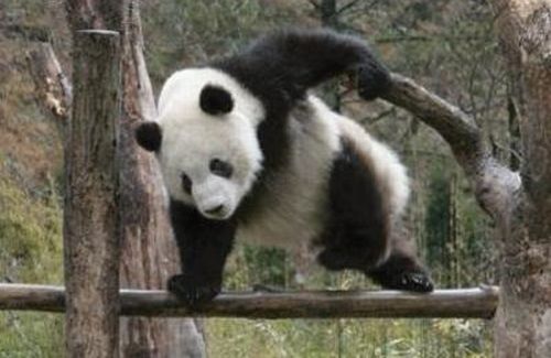 db5de65eab4c0eec9837f8a08a3534c1_400