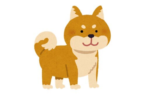 2021y02m25d_104407729