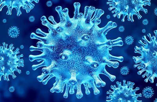 2020y12m24d_085159354