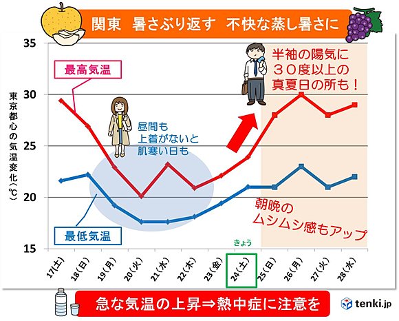 引用画像