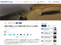 ダウンロード (1)