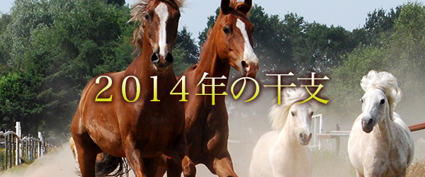 2014干支