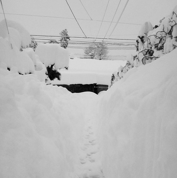 2014y02m16d_070836865