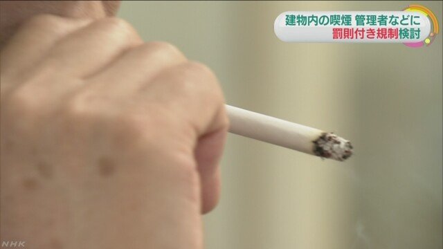 引用画像