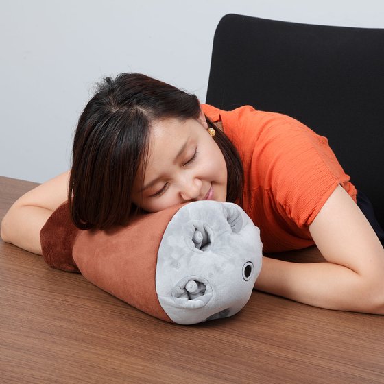 引用画像