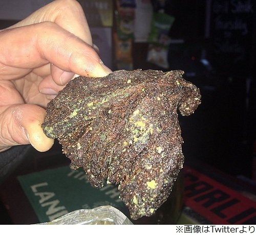 引用画像
