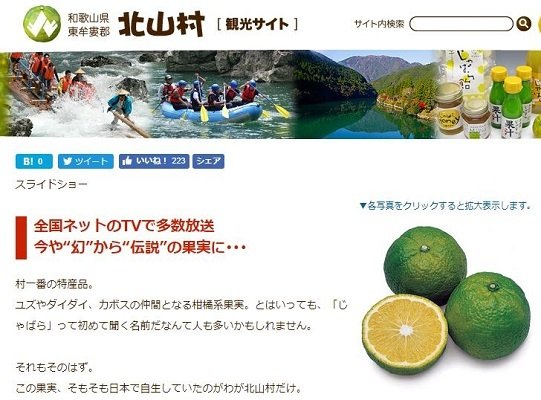 引用画像