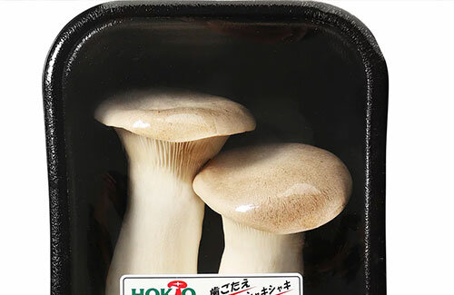 名称未設定-1-復元-復元-復元