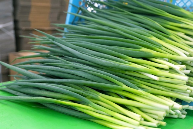 9c4b31d40d0594c07d51f396ec854b44