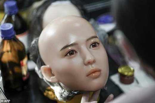 引用画像
