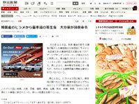 名称未設定 16
