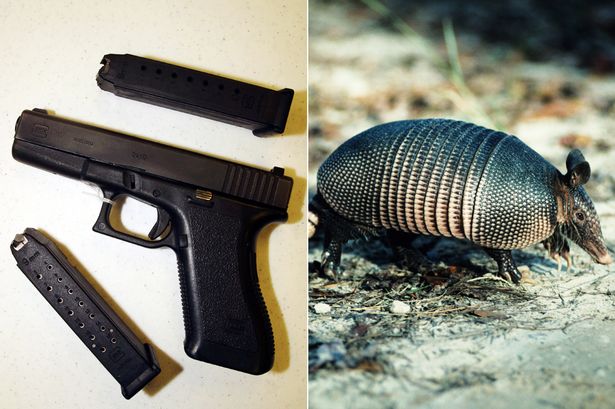 MAIN-Armadillo