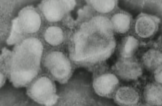 3403e4a35c905678a062d062eb2dca4d