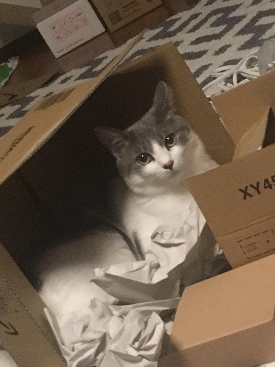 引用画像