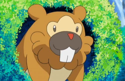 ポケモン ダイパリメイク さん 今度は ビーダルの股間からビッパが生えてくる というヤバいバグが発覚ｗｗｗｗｗ はちま起稿