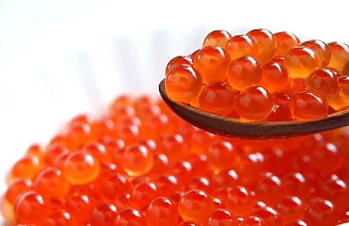 名称未設定-1-復元-復元-復元