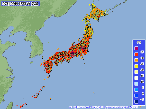 c8980a56 (1)