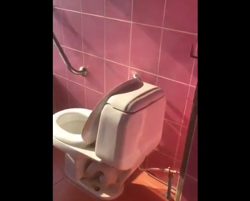 2019y05m05d_070003466