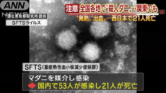 名称未設定 11