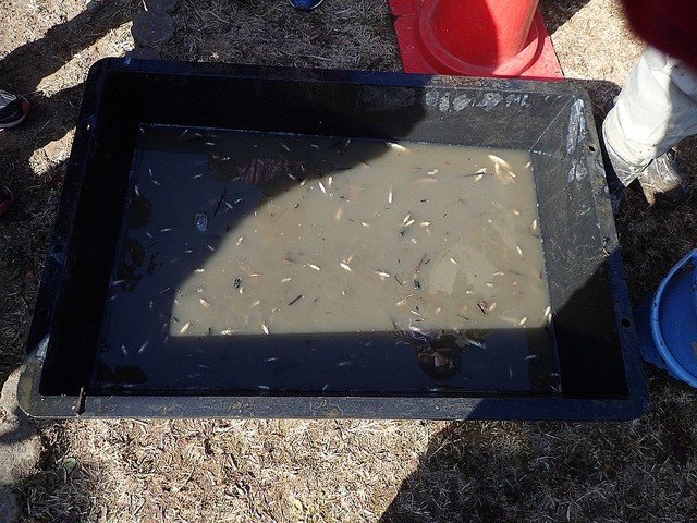 c7698_80_039a3420_d453967d