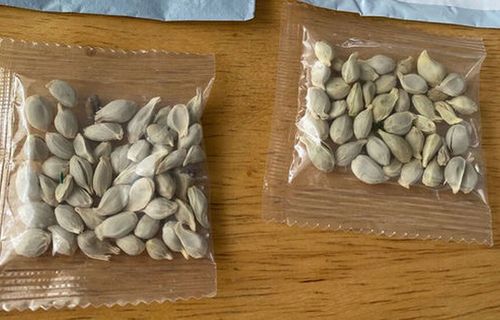 we984t984we984a984tewa