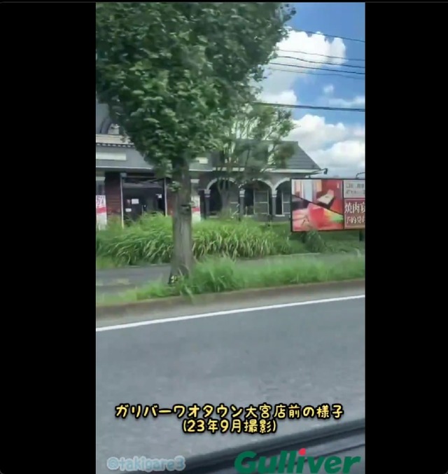 gairojyu1