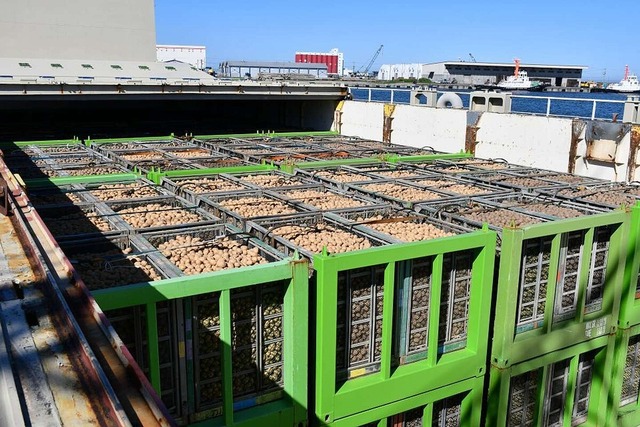 05b20_1460_77698b5a5db7a17cf707dd038543ad22