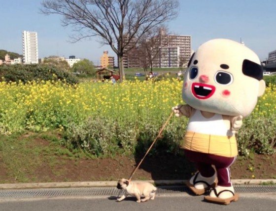 ちっちゃいおっさんパグ
