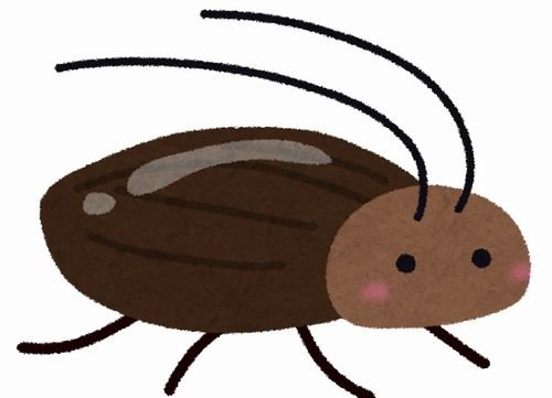 ゴキブリ駆除のプロが教える 一番効果的なゴキブリ対策 はこちら 実はそんなに効き目がなかった対策方法も判明 はちま起稿 ゴキブリ駆除のプロが教える 一番効果的なゴキブリ対策 はこちら 実はそんなに効き目がなかった対策方法も判明 はちま起稿